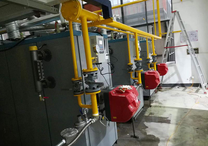 LEWAY steam generator for paper industrial